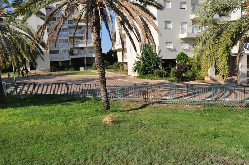 WhatsApp Image 2020-09-12 at 2.30.01 PM.jpeg.jpeg